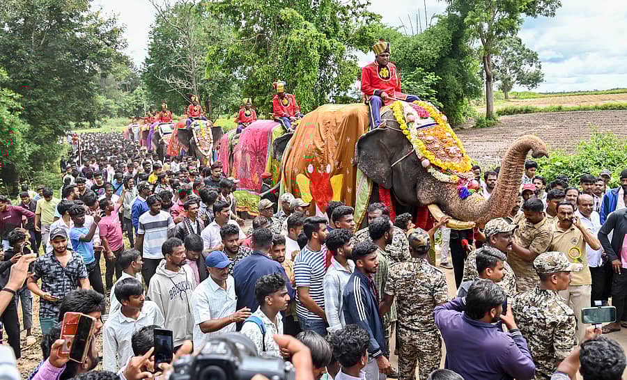 ಮೈಸೂರು ದಸರಾ ಮಹೋತ್ಸವದಲ್ಲಿ ಪಾಲ್ಗೊಳ್ಳಲಿರುವ ‘ಅಭಿಮನ್ಯು’ ನೇತೃತ್ವದ ಗಜಪಡೆಗೆ ಹುಣಸೂರು ತಾಲ್ಲೂಕಿನ ವೀರನಹೊಸಹಳ್ಳಿಯಲ್ಲಿ ಸೋಮವಾರ ಬೀಳ್ಕೊಡಲಾಯಿತು – ಚಿತ್ರ/ಅನೂಪ್ ರಾಘ.ಟಿ.