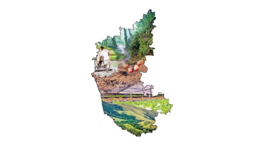 <div class="paragraphs"><p>ಕರ್ನಾಟಕ ಕೃಷಿ</p></div>