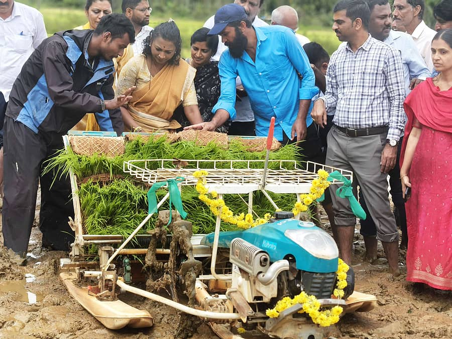 ಮೂಡಿಗೆರೆ ತಾಲ್ಲೂಕಿನ ಉಗ್ಗೇಹಳ್ಳಿ ಗ್ರಾಮದ ಭತ್ತದ ಗದ್ದೆಯಲ್ಲಿ ಏರ್ಪಡಿಸಿದ್ದ ಯಾಂತ್ರೀಕೃತ ಭತ್ತದ ನಾಟಿ ಕಾರ್ಯಕ್ಕೆ ಶಾಸಕಿ ನಯನಾ ಮೋಟಮ್ಮ ಚಾಲನೆ ನೀಡಿದರು