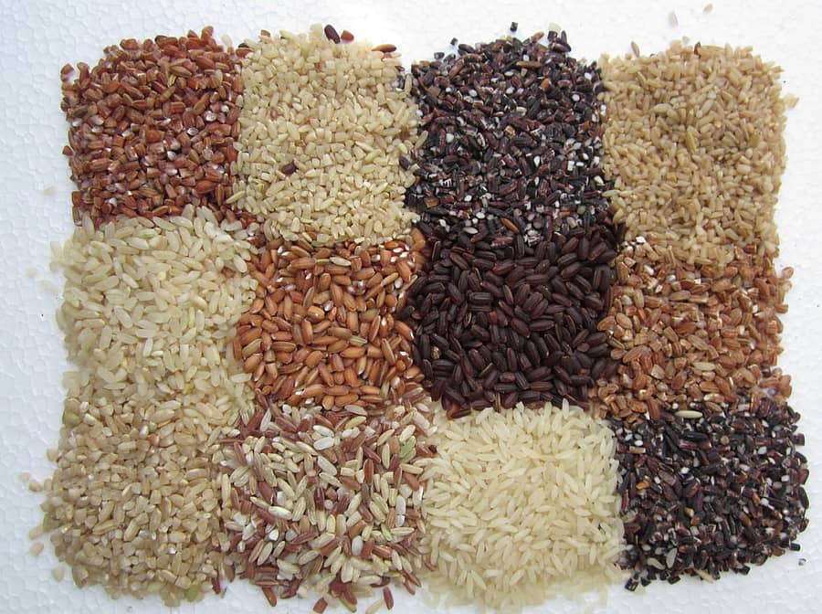 ಅಕ್ಕಿ ವೈವಿಧ್ಯ (ಸಾಂಕೇತಿಕ ಚಿತ್ರ)