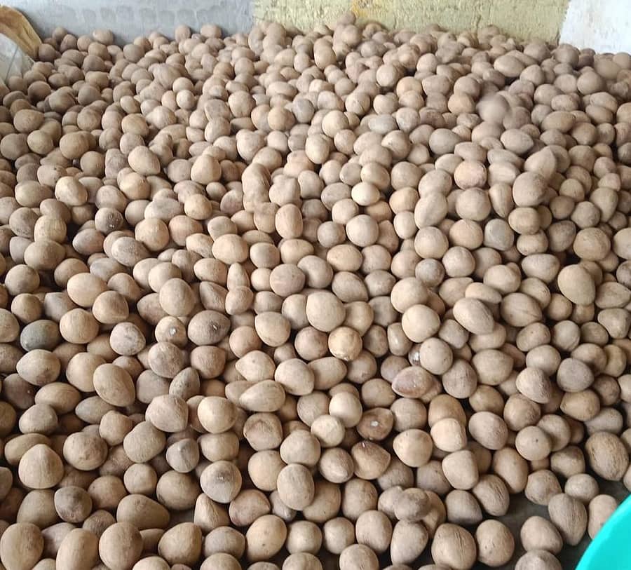 ಉಂಡೆ ಕೊಬ್ಬರಿ