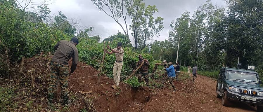 ಯಸಳೂರು ಹೋಬಳಿಯ ಕೊತ್ತನಹಳ್ಳಿ ಅಕೇಷಿಯ ನಡುತೋಪಿನಲ್ಲಿ ಅರಣ್ಯ ಇಲಾಖೆಯವರು ಒತ್ತುವರಿ ತೆರವು ಮಾಡಿದರು.