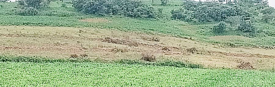 ಬಸವಾಪಟ್ಟಣ ಸಮೀಪದ ಕಂಚುಗಾರನಹಳ್ಳಿ ತಿರುವಿನ ಬಳಿ ವಿದ್ಯುತ್ ಪವರ್ ಸ್ಟೇಷನ್ ಸ್ಥಾಪನೆಗೆ ಸರ್ಕಾರ ಮಂಜೂರು ಮಾಡಿರುವ ನಿವೇಶನ