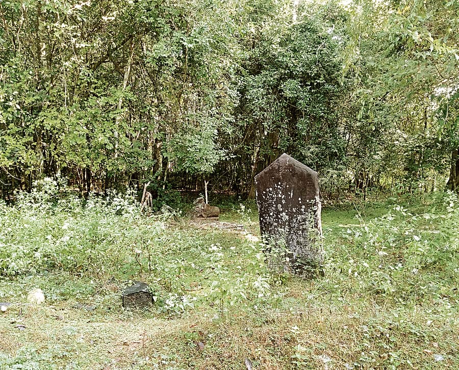 ದೇವರಕಾಡು 