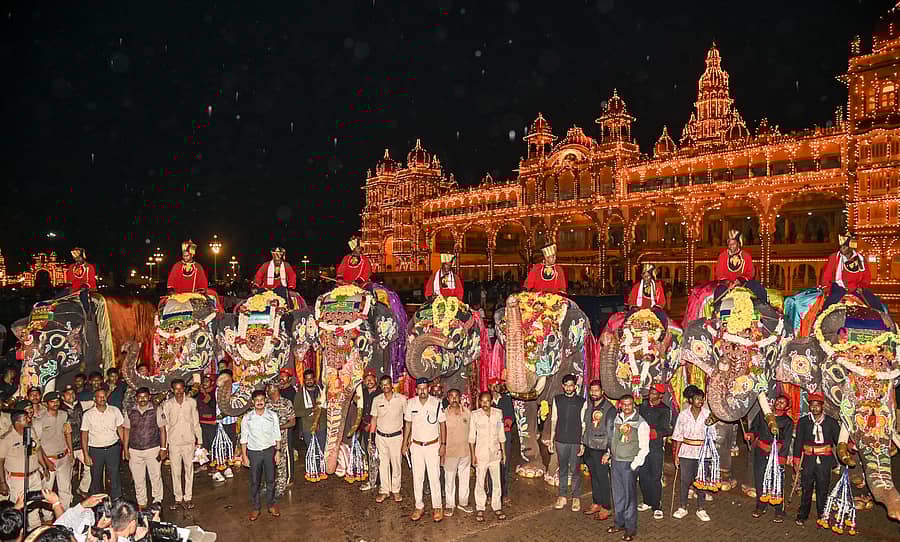 ಅಂಬಾರಿ ಆನೆ ‘ಅಭಿಮನ್ಯು’ ನೇತೃತ್ವದ ಗಜಪಡೆಯನ್ನು ಮೈಸೂರಿನ ಅಂಬಾವಿಲಾಸ ಅರಮನೆ ಆವರಣಕ್ಕೆ ಭಾನುವಾರ ಸಂಜೆ ಸ್ವಾಗತಿಸಲಾಯಿತು –ಪ್ರಜಾವಾಣಿ ಚಿತ್ರ/ ಅನೂಪ್‌ ರಾಘ ಟಿ. 