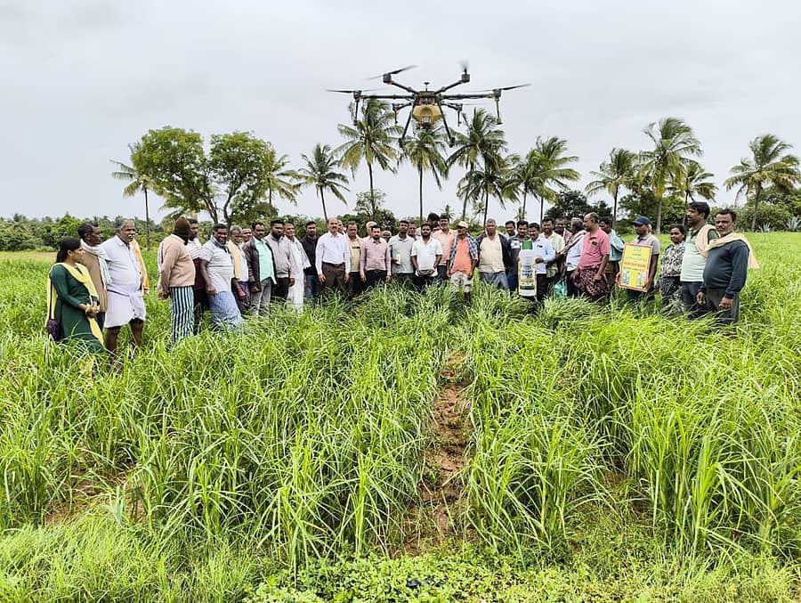 ಚಿಂತಾಮಣಿ ತಾಲ್ಲೂಕಿನ ಪೆದ್ದೂರು ಗ್ರಾಮದಲ್ಲಿ ಕೃಷಿ ಇಲಾಖೆ ಆಯೋಜಿಸಿದ್ದ ಪ್ರಾತ್ಯಕ್ಷಿಕೆಯಲ್ಲಿ ಭಾಗವಹಿಸಿದ್ದ ಅಧಿಕಾರಿಗಳು ಮತ್ತು ರೈತರು