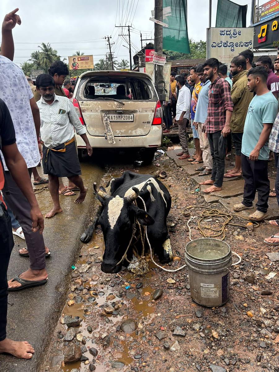 ಅಕ್ರಮ ದನ ಸಾಗಣೆ ಮಾಡಿದ ನಕಲಿ ನಂಬರ್ ಪ್ಲೇಟ್ ಅಳವಡಿಸಿದ್ದ ಇನ್ನೋವಾ ಕಾರು