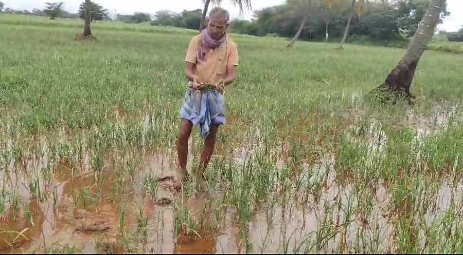 ಲಕ್ಷ್ಮೇಶ್ವರ ತಾಲ್ಲೂಕು ಅಡರಕಟ್ಟಿ ಗ್ರಾಮದ ಈರುಳ್ಳಿ ಹೊಲಗಳಲ್ಲಿ ನಿರಂತರ ಮಳೆ ಸುರಿದ ಪರಿಣಾಮ ನೀರು ನಿಂತಿರುವುದು