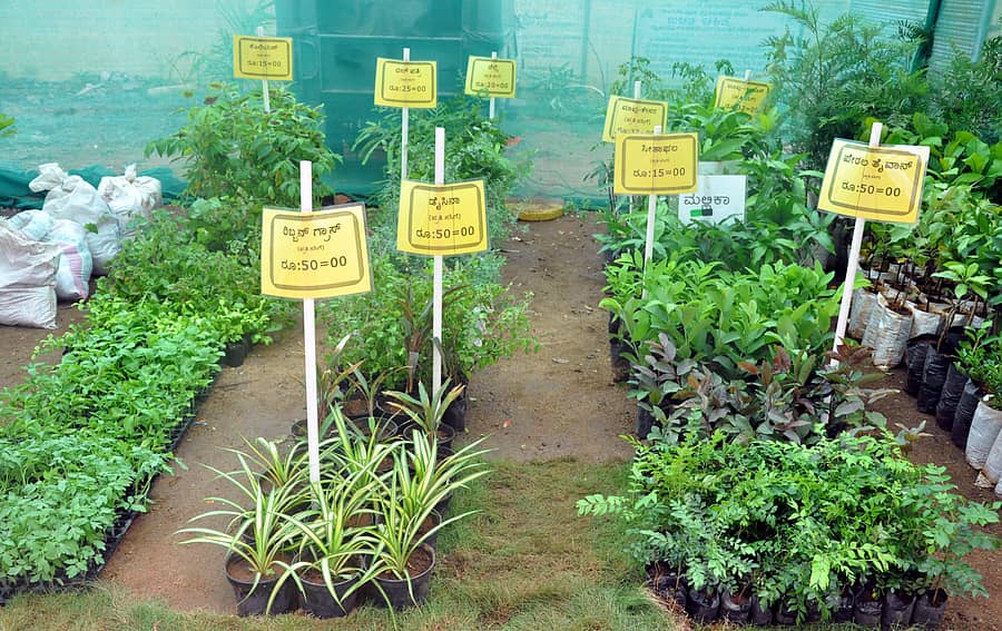 ಸಾಂದರ್ಭಿಕ ಚಿತ್ರ