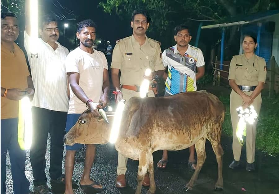 ಕದ್ರಾ ಠಾಣೆಯ ಪೊಲೀಸರು, ಸಾರ್ವಜನಿಕರ ನೆರವಿನೊಂದಿಗೆ ಬೀಡಾಡಿ ದನಗಳ ಕೊರಳಿಗೆ ಹೊಳೆಯುವ ರೇಡಿಯಂ ಪಟ್ಟಿ ಕಟ್ಟಿದರು