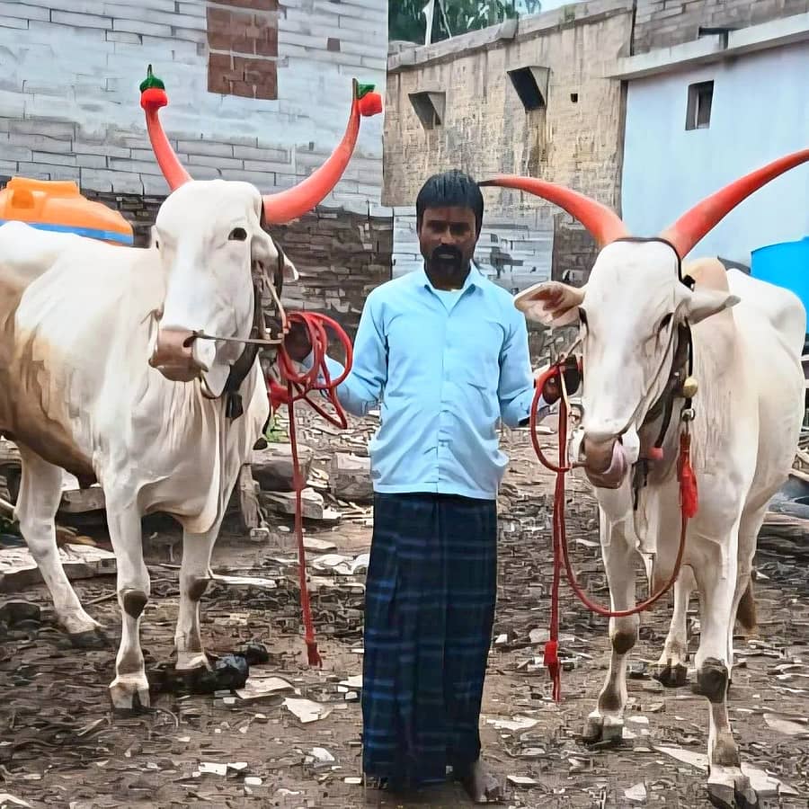 ರಕ್ಷಿಸಿಕೊಂಡ ತನ್ನೆರಡು ಎತ್ತುಗಳೊಂದಿಗೆ ರೈತ ಮಾಳಪ್ಪ ಬಿರಾದಾರ