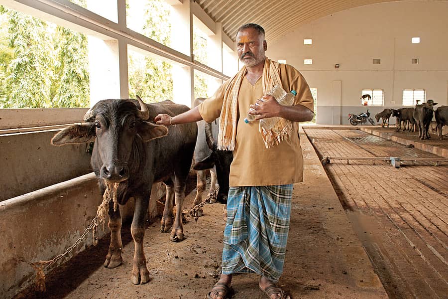 ಜಾನುವಾರು ವಸತಿನಿಲಯ ಬಳಕೆ ಮಾಡುತ್ತಿರುವ ರೈತ ಮಲ್ಲಪ್ಪ