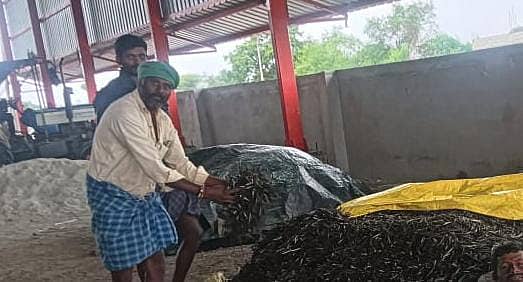 ಕುಕನೂರು ತಾಲ್ಲೂಕಿನ ಮಸಬಹಂಚಿನಾಳ ಗ್ರಾಮದಲ್ಲಿ ಸತತ ಮಳೆಯಿಂದ ಒಂದೇ ಕಡೆ ಕೂಡಿ ಹಾಕಿರುವ ಹೆಸರು ಬುಡ್ಡಿ 