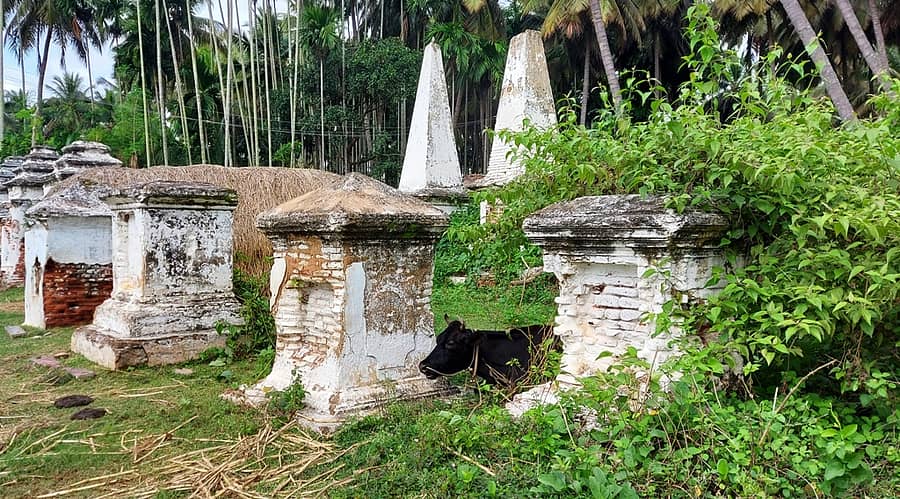 ಪಾಂಡವಪುರದ ಹಾರೋಹಳ್ಳಿ ಬಳಿ ಇರುವ ಸೈನಿಕರ ಮತ್ತು ಅಧಿಕಾರಿಗಳ ಸಮಾಧಿ ‘ಫ್ರೆಂಚ್ ರಾಕ್ಸ್’ ಹಾಳು ಬಿದ್ದಿರುವುದು