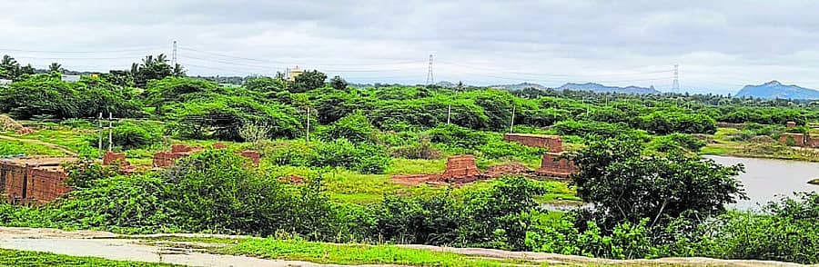 <div class="paragraphs"><p>ಹಗರಿಬೊಮ್ಮನಹಳ್ಳಿ ಸಮೀಪದ ಚಿಂತ್ರಪಳ್ಳಿ ಕೆರೆಯ ಆವರಣದಲ್ಲಿ ಇರುವ ಇಟ್ಟಿಗೆ ತಯಾರಿಕೆ ಬಟ್ಟಿಗಳು</p></div>