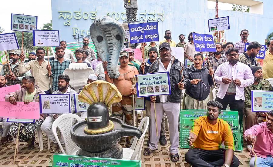 ಬೇಡಿಕೆಗಳ ಈಡೇರಿಕೆಗೆ ಆಗ್ರಹಿಸಿ ವನ್ಯಜೀವಿ ಸಂರಕ್ಷಕರು, ಉರಗ ಸಂರಕ್ಷಕರು, ಹಾವು ಹಿಡಿಯುವವರು ಬೆಂಗಳೂರಿನ ಸ್ವಾತಂತ್ರ್ಯ ಉದ್ಯಾನದಲ್ಲಿ ಮಂಗಳವಾರ ಪ್ರತಿಭಟನೆ ನಡೆಸಿದರು.
