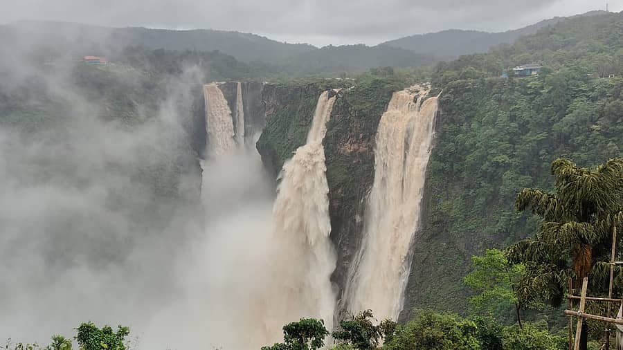 <div class="paragraphs"><p>ಶಿವಮೊಗ್ಗ ಜಿಲ್ಲೆ ಸಾಗರ ತಾಲ್ಲೂಕಿನ ಕಾರ್ಗಲ್ ನ ಲಿಂಗನಮಕ್ಕಿ ಅಣೆಕಟ್ಟೆಯಿಂದ ಶರಾವತಿ ನದಿಗೆ ಮಂಗಳವಾರ 15 ಸಾವಿರ ಕ್ಯುಸೆಕ್ ನೀರು ಹರಿಸಲಾಗಿದೆ. ಇದರಿಂದ ಜೋಗ ಜಲಪಾತದ ವೈಭವ ಕಳೆಗಟ್ಟಿದೆ.</p><p></p></div>