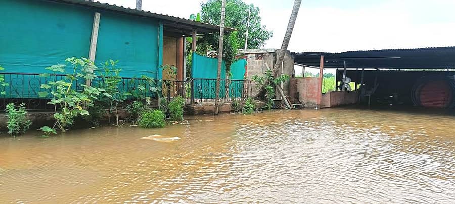 ಜಮಖಂಡಿ ತಾಲ್ಲೂಕಿನ ಮುತ್ತೂರ ಗ್ರಾಮವು ಕೃಷ್ಣಾ ನದಿ ಪ್ರವಾಹದಿಂದ ನಡುಗಡ್ಡೆಯಂತಾಗಿದ್ದು, ಹಲವು ಮನೆಗಳಿಗೆ ನೀರು ನುಗ್ಗಿದೆ
