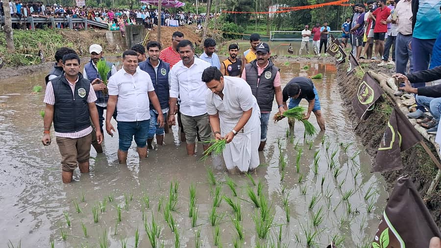 ಕುಶಾಲನಗರ ಸಮೀಪದ ಹುದುಗೂರು ಐಮುಡಿಯಂಡ ಗಣೇಶ್ ಅವರ ಗದ್ದೆಯಲ್ಲಿ ಶನಿವಾರ ನಾಟಿ ಹಬ್ಬ ಹಾಗೂ ಕೆಸರು ಗದ್ದೆ ಕ್ರೀಡಾಕೂಟದಲ್ಲಿ ಸಂಸದ ಯದುವೀರ್ ಒಡೆಯರ್ ಗದ್ದೆಯಲ್ಲಿ ನಾಟಿ ಮಾಡುವ ಮೂಲಕ ಎಲ್ಲರ ಗಮನ ಸೆಳೆದರು