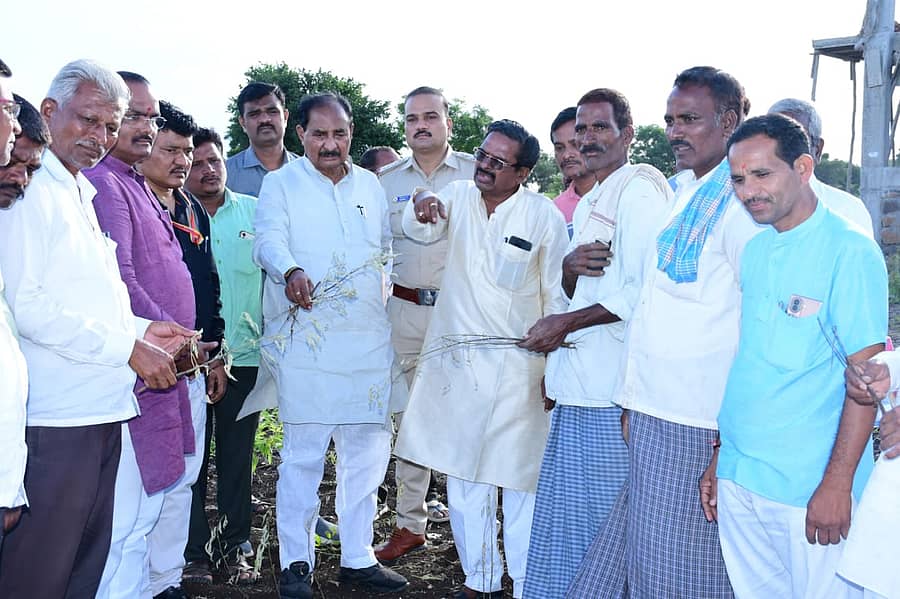 ಕಲಬುರಗಿ ತಾಲ್ಲೂಕಿನ ಪಟ್ಟಣ ಗ್ರಾಮದಲ್ಲಿ ಶಾಸಕ ಅಲ್ಲಮಪ್ರಭು ಪಾಟೀಲ ಅವರು ಬೆಳೆ ಹಾನಿ ವೀಕ್ಷಿಸಿದರು. ತಹಶೀಲ್ದಾರ್ ಕೆ. ಆನಂದಶೀಲ, ಸಂತೋಷ ಪಾಟೀಲ ಧನ್ನೂರ ಹಾಗೂ ರೈತರು ಈ ಸಂದರ್ಭದಲ್ಲಿದ್ದರು
