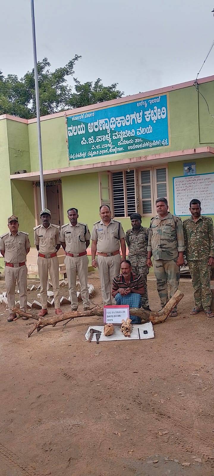 ಮಲೆಮಹದೇಶ್ವರ ವನ್ಯಧಾಮದಲ್ಲಿ ಗಂಧದ ಮರ ಕಡಿತಲೆ ಮಾಡಿದ್ದ ಆರೋಪಿಯನ್ನು ಅರಣ್ಯಾಧಿಕಾರಿಗಳು ಬಂಧಿಸಿದ್ದಾರೆ