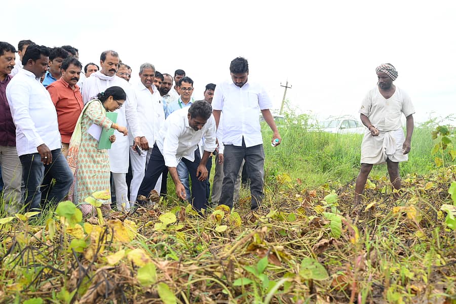ಸತತ ಮಳೆಗೆ ಬೀದರ್‌ ತಾಲ್ಲೂಕಿನ ಚಿಲ್ಲರ್ಗಿ ಗ್ರಾಮದ ವಿಠ್ಠಲ ಗಬಾರೆ ಎಂಬುವರ ಹೊಲದಲ್ಲಿ ಬೆಳೆದ ಹೆಸರು ಸಂಪೂರ್ಣ ಹಾಳಾಗಿದ್ದು, ಪೌರಾಡಳಿತ ಸಚಿವ ರಹೀಂ ಖಾನ್‌ ಅವರು ಶನಿವಾರ ಪರಿಶೀಲಿಸಿದರು