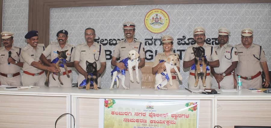 ಕಲಬುರಗಿಯ ಶ್ವಾನದಳಕ್ಕೆ ಸೇರ್ಪಡೆಯಾದ ಶ್ವಾನಗಳನ್ನು ಪೊಲೀಸ್ ಕಮಿಷನರ್ ಶರಣಪ್ಪ ಎಸ್.ಡಿ. ಹಾಗೂ ಇತರ ಪೊಲೀಸ್ ಅಧಿಕಾರಿಗಳು ಬರಮಾಡಿಕೊಂಡರು