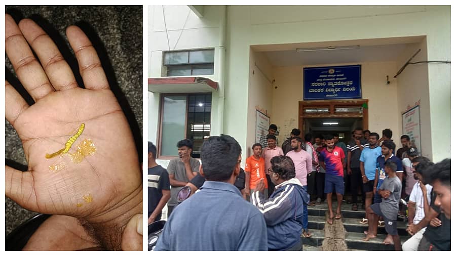 <div class="paragraphs"><p>ಕಲಬುರಗಿಯಲ್ಲಿ ಗುಲಬರ್ಗಾ ‌ವಿವಿ‌ ಹಾಸ್ಟೆಲ್ ‌ಊಟದಲ್ಲಿ ಪತ್ತೆಯಾಗಿದ್ದ ಹುಳು&nbsp;ಹಾಗೂ ವಿದ್ಯಾರ್ಥಿಗಳ ಪ್ರತಿಭಟನೆ</p></div>