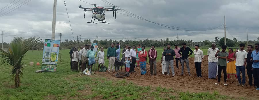 ಬೀರೂರು ಸಮೀಪದ ಜೋಡಿತಿಮ್ಮಾಪುರ ಗ್ರಾಮದ ಬಿ.ಜಿ.ಗೋವಿಂದಪ್ಪ ಅವರ ಜಮೀನಿನಲ್ಲಿ ಗುರುವಾರ ಕೃಷಿ ಇಲಾಖೆ ಮತ್ತು ಇಫ್ಕೊ ಸಂಸ್ಥೆ ವತಿಯಿಂದ ಡ್ರೋನ್ ಮೂಲಕ ರಾಗಿ ಬೆಳೆಗೆ ನ್ಯಾನೊ ಯೂರಿಯಾ ಸಿಂಪಡಣೆ ಪ್ರಾತ್ಯಕ್ಷಿಕೆ ನಡೆಸಲಾಯಿತು