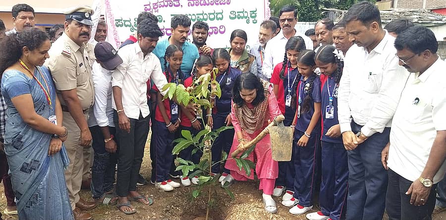 ಬೇಲೂರಿನ ತಾಲ್ಲೂಕು ಕಚೇರಿ ಆವರಣದಲ್ಲಿ ಜಿಲ್ಲಾಧಿಕಾರಿ ಲತಾಕುಕುಮಾರಿ ಶನಿವಾರ ಗಿಡ ನೆಟ್ಟರು. ತಹಶೀಲ್ದಾರ್ ಶ್ರೀಧರ್ ಕಂಕನವಾಡಿ, ಉಪತಹಶೀಲ್ದಾರ್ ಪ್ರದೀಪ್, ಶಿರಸ್ತೆದಾರ್‌ ತನ್ವಿರ್ ಇದ್ದಾರೆ