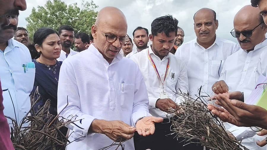 ಸೇಡಂ ತಾಲ್ಲೂಕಿನ ಅಳ್ಳೊಳ್ಳಿ ಗ್ರಾಮದ ರೈತರ ಹೊಲಗಳಿಗೆ ಸಚಿವ ಡಾ.ಶರಣ ಪ್ರಕಾಶ ಪಾಟೀಲ ಭೇಟಿ ನೀಡಿ ಬೆಳೆ ಹಾಳಾಗಿರುವುದನ್ನು ವೀಕ್ಷಿಸಿದರು