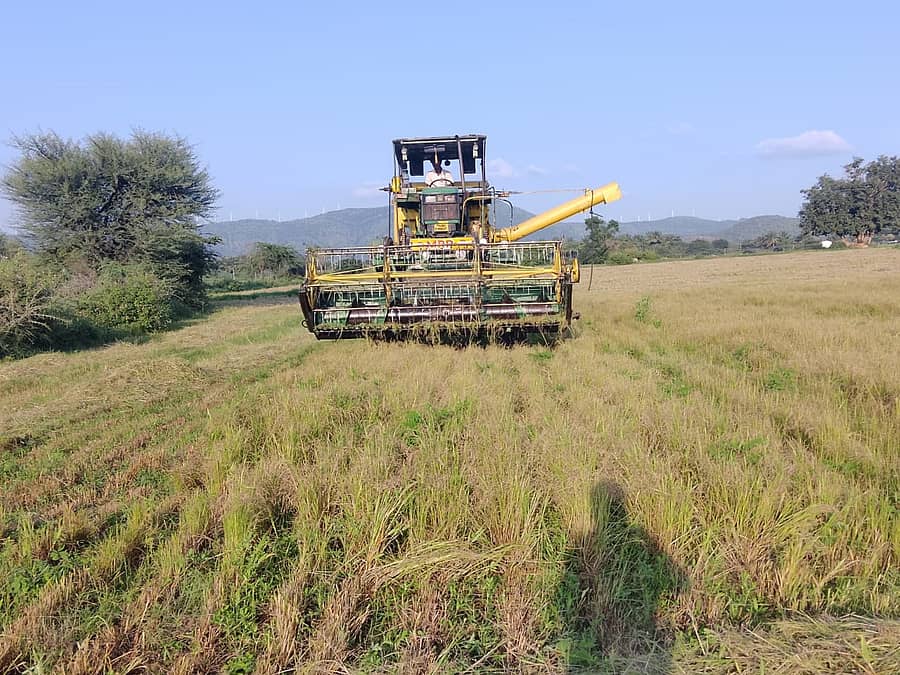 ಹೊಸದುರ್ಗದ ಕೆಲ್ಲೋಡು ಗ್ರಾಮದ ಜಮೀನೊಂದರಲ್ಲಿ ಯಂತ್ರದ ಸಹಾಯದಿಂದ ಸಾವೆ ಕಟಾವು ಮಾಡುತ್ತಿರುವುದು