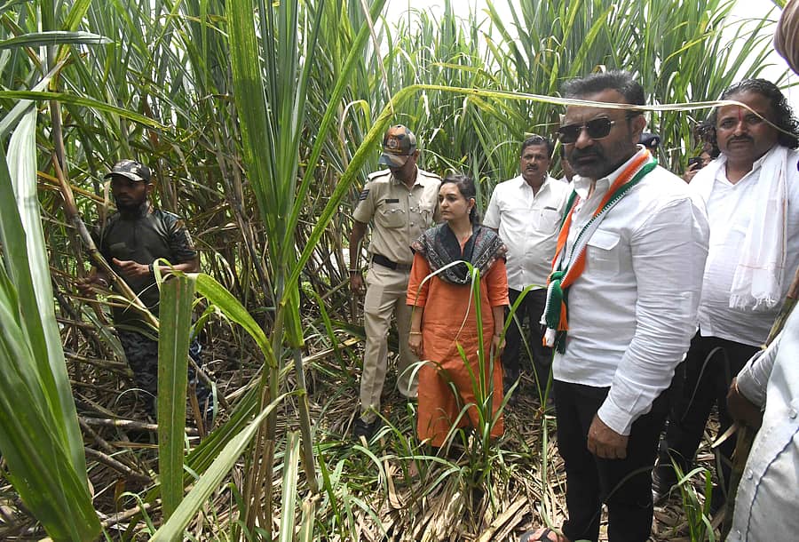 ಧಾರವಾಡ ಜಿಲ್ಲೆಯ ಕಲಘಟಗಿ ತಾಲ್ಲೂಕಿನ ಗಳಗಿ ಹುಲಕೊಪ್ಪ ಗ್ರಾಮ ಸಮೀಪ ಗದ್ದೆಗೆ ಕಾಡು ಹಂದಿಗಳು ದಾಳಿ ಮಾಡಿ ಕಬ್ಬು ಹಾಳುಗೆಡವಿರುವುದನ್ನು ಜಿಲ್ಲಾ ಉಸ್ತುವಾರಿ ಸಚಿವ ಸಂತೋಷ ಎಸ್‌.ಲಾಡ್‌ ಅವರು ಸೋಮವಾರ ವೀಕ್ಷಿಸಿದರು. ಜಿಲ್ಲಾಧಿಕಾರಿ ದಿವ್ಯಪ್ರಭು ಜತೆಗಿದ್ದರು ಪ‍್ರಜಾವಾಣಿ ಚಿತ್ರ

