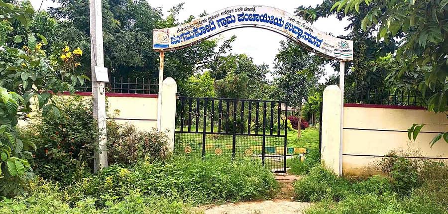 ಶಿಡ್ಲಘಟ್ಟ ತಾಲ್ಲೂಕಿನ ಜಂಗಮಕೋಟೆ ಪ್ರಾಥಮಿಕ ಆರೋಗ್ಯ ಕೇಂದ್ರದ ಪಕ್ಕದಲ್ಲಿರುವ ಉದ್ಯಾನವನದ ಪ್ರವೇಶ ದ್ವಾರದಲ್ಲಿ ಬೆಳೆದು ನಿಂತಿರುವ ಕಳೆಗಿಡಗಳು
