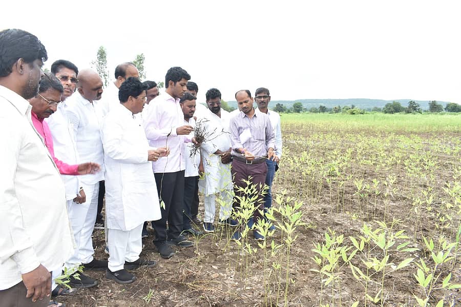 ಚಿಂಚೋಳಿ ತಾಲ್ಲೂಕಿನ ಕೊಳ್ಳೂರು ಗ್ರಾಮದಲ್ಲಿ ಮಳೆಯಿಂದ ಉಂಟಾಗಿರುವ ಬೆಳೆ ಹಾನಿಯನ್ನು ಬೀದರ್‌ ಸಂಸದ ಸಾಗರ ಖಂಡ್ರೆ ಮಂಗಳವಾರ ಪರಿಶೀಲಿಸಿದರು. ಕೆಪಿಸಿಸಿ ಉಪಾಧ್ಯಕ್ಷ ಸುಭಾಷ ರಾಠೋಡ್ ಇದ್ದರು