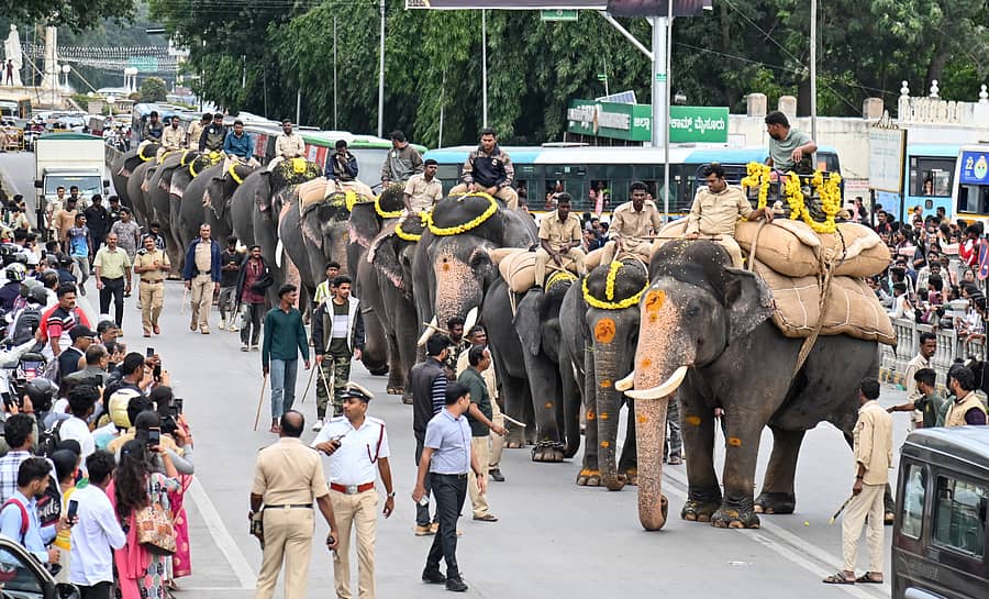 ಮೈಸೂರಿನ ಸಯ್ಯಾಜಿರಾವ್ ರಸ್ತೆಯಲ್ಲಿ ಬುಧವಾರ 500 ಕೆ.ಜಿ ಭಾರ ಹೊತ್ತು ಸಾಗಿದ ಅಂಬಾರಿ ಆನೆ ‘ಅಭಿಮನ್ಯು’ ಹಾಗೂ ಗಜಪಡೆಯನ್ನು ನೋಡಲು ಜಮಾಯಿಸಿದ್ದ ಜನಸ್ತೋಮ –ಪ್ರಜಾವಾಣಿ ಚಿತ್ರ/ ಅನೂಪ್ ರಾಘ.ಟಿ.