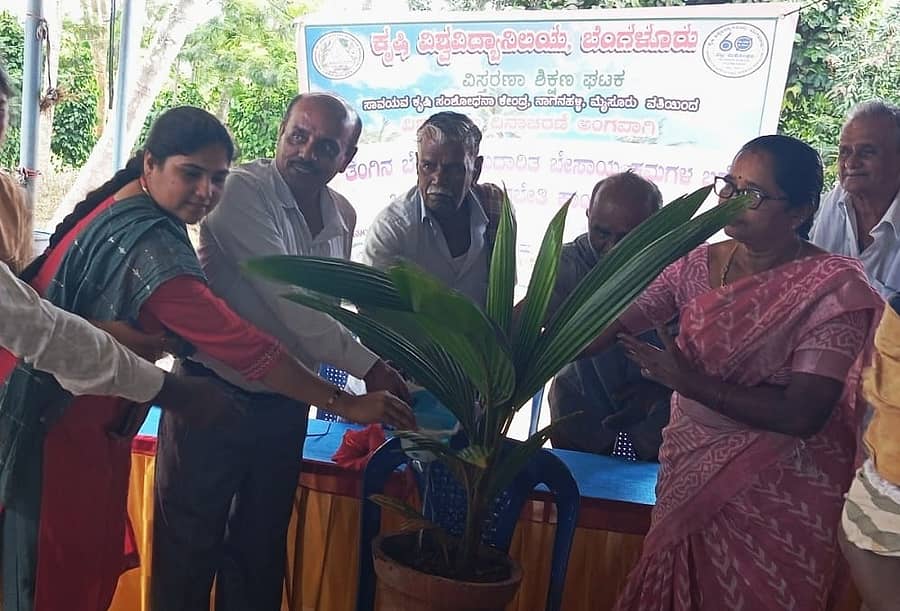 ಹುಣಸೂರು ತಾಲ್ಲೂಕಿನ ಹನುಮಂತಪುರ ಗ್ರಾಮದಲ್ಲಿ ತೋಟಗಾರಿಕೆ ಇಲಾಖೆ ವತಿಯಿಂದ ಬುಧವಾರ ಹಮ್ಮಿಕೊಂಡಿದ್ದ ವಿಶ್ವ ತೆಂಗು ದಿನಾಚರಣೆ ಕಾರ್ಯಕ್ರಮವನ್ನು ಪ್ರಗತಿಪರ ರೈತ ಮಹಿಳೆ ವಸಂತಮ್ಮ ತೆಂಗಿನ ಗಿಡಕ್ಕೆ ನೀರೆರೆದು ಉದ್ಘಾಟಿಸಿದರು.