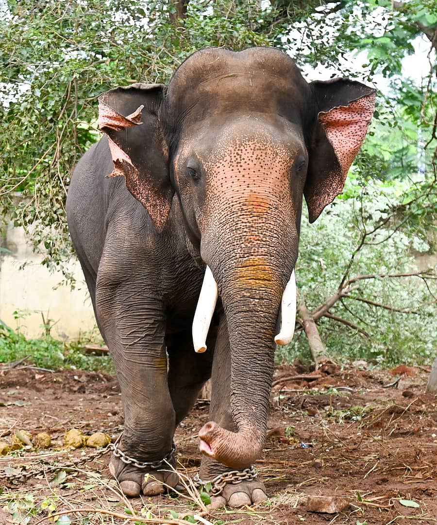 (ಸಾಂದರ್ಭಿಕ ಚಿತ್ರ)