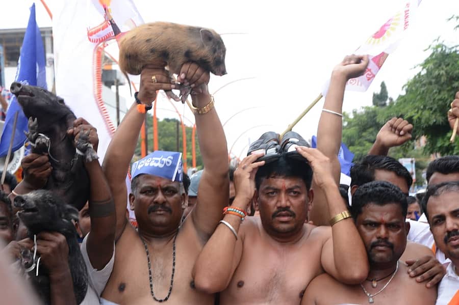 ವಿಜಯಪುರ ನಗರದಲ್ಲಿ ಶನಿವಾರ ಬಂಜಾರಾ, ಭೋವಿ, ಕೋರಚ, ಕೋರಮ, ಭಜಂತ್ರಿ ಸಮುದಾಯದವರು ಒಳ ಮೀಸಲಾತಿ  ವಿರೋಧಿಸಿ ಹಂದಿ, ಚಪ್ಪಲಿಯನ್ನು ತಲೆ ಮೇಲೆ ಹೊತ್ತು, ಅರೆಬೆತ್ತಲೆ ಪ್ರತಿಭಟನೆ ನಡೆಸಿದರು 