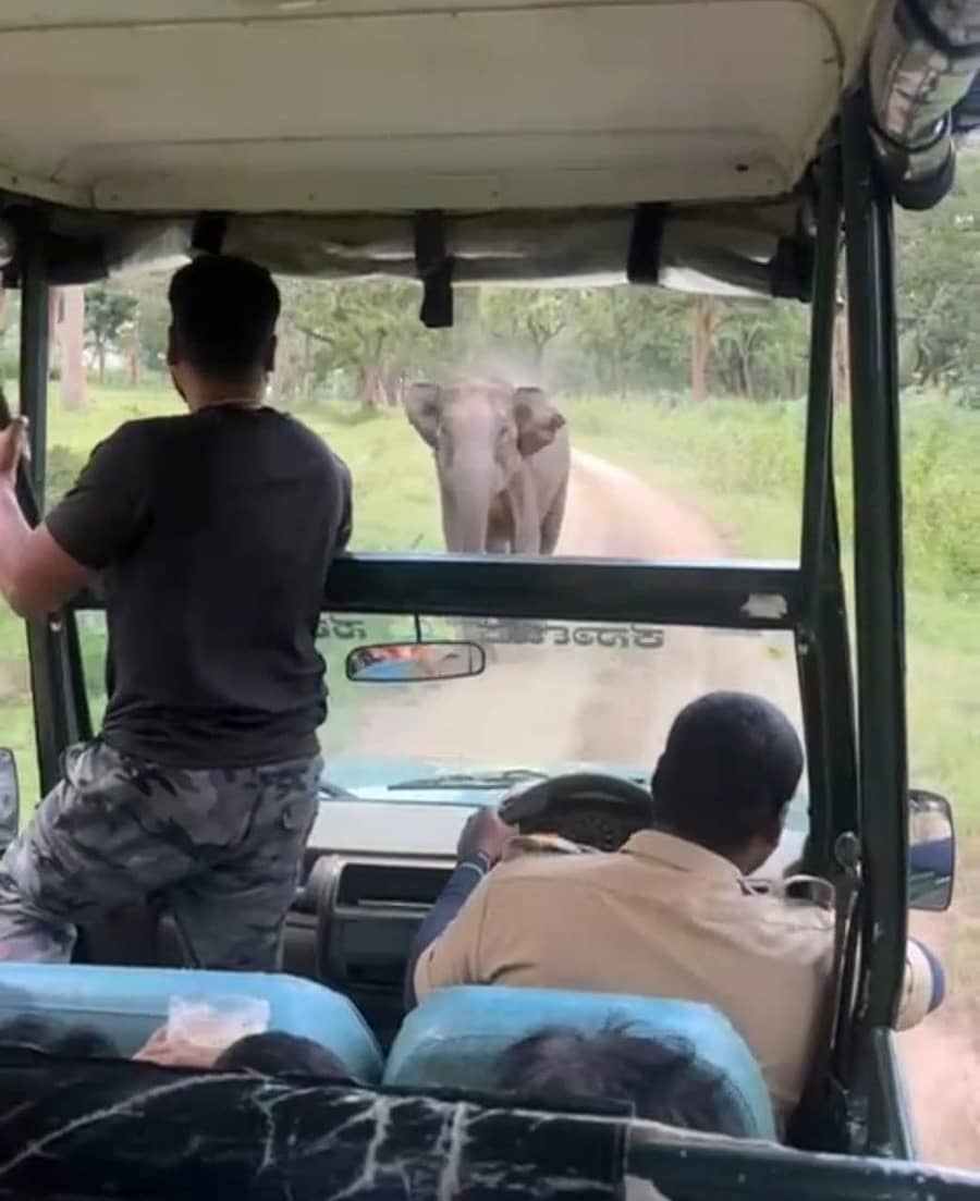 ಬಂಡೀಪುರ ಹುಲಿ ಸಂರಕ್ಷಿತಾರಣ್ಯದಲ್ಲಿ ಸಫಾರಿ ವೇಳೆ ಕಾಡಾನೆಯೊಂದು ಜೀಪ್ ಅಟ್ಟಿಸಿಕೊಂಡು ಬಂದ ದೃಶ್ಯ