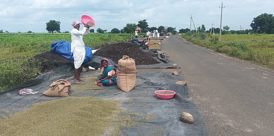 ಕಾಳಗಿ ತಾಲ್ಲೂಕಿನ ಕೊಡದೂರ ರೈತರು ರಾಜ್ಯಹೆದ್ದಾರಿ ಮೇಲೆ ಹೆಸರು ರಾಶಿ ಮಾಡುತ್ತಿರುವುದು