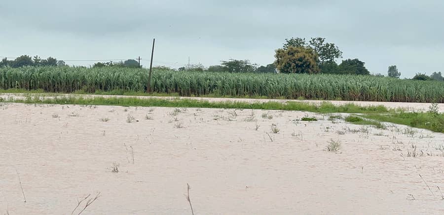 ಬೀದರ್ ತಾಲ್ಲೂಕಿನ ಬುಧೇರಾ ಗ್ರಾಮದ ಹೊಲವೊಂದರಲ್ಲಿ ಅಪಾರ ಮಳೆ ನೀರು ಸಂಗ್ರಹಗೊಂಡಿದೆ