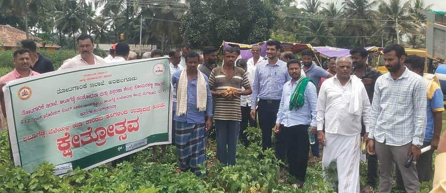 <div class="paragraphs"><p>ಅರಕಲಗೂಡು ತಾಲ್ಲೂಕು ಬೈಚನಹಳ್ಳಿ ಕೃಷಿಕ ದಯಾನಂದ ಅವರ ಜಮೀನಿನಲ್ಲಿ ಬುಧವಾರ ಆಲೂಗೆಡ್ಡೆ ಬೆಳೆ ಕ್ಷೇತ್ರೋತ್ಸವ ನಡೆಯಿತು </p></div>