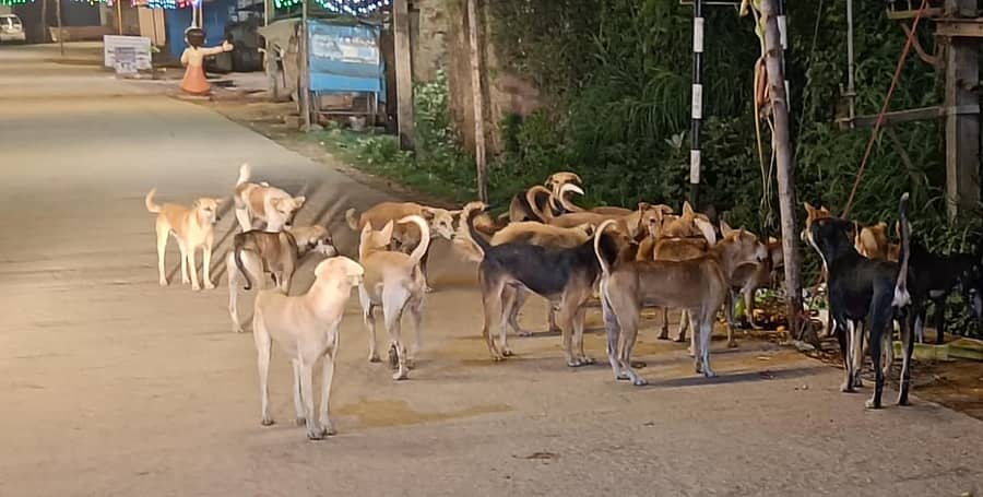 <div class="paragraphs"><p>ಸಾಂದರ್ಭಿಕ ಚಿತ್ರ</p></div>