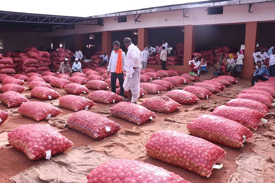 ಬಾಗಲಕೋಟೆ ಎಪಿಎಂಸಿಗೆ ಹರಾಜಿಗೆ ಬಂದಿರುವ ಈರುಳ್ಳಿ
