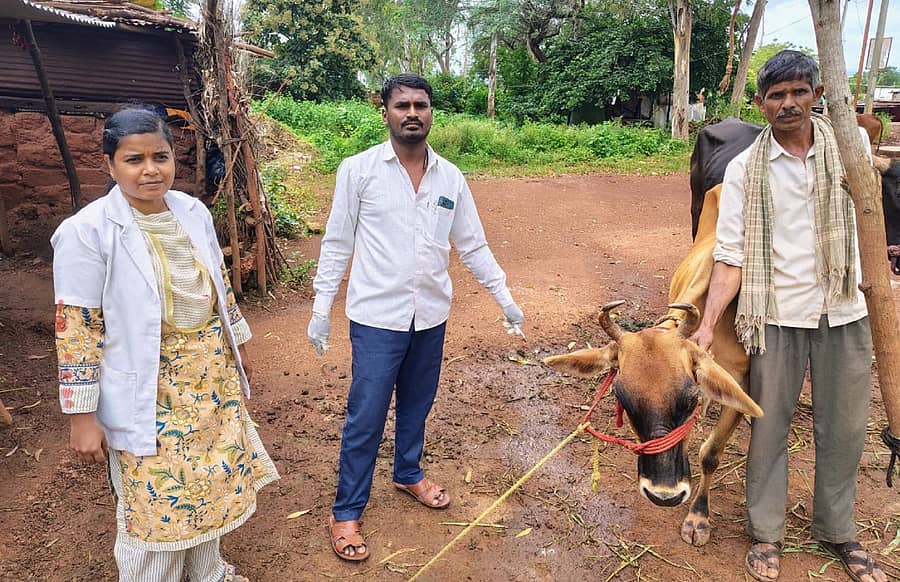 ಚಿಂಚೋಳಿ ತಾಲ್ಲೂಕಿನ ಪಾಲ್ತಾಂಯ ತಾಂಡಾದಲ್ಲಿ ಮುಂಜಾಗ್ರತೆ ಕ್ರಮವಾಗಿ ರೇಬಿಸ್ ನಿರೋಧಕ ಲಸಿಕೆಯನ್ನು ಡಾ. ತೃಪ್ತಿ ಕಟ್ಟಿಮನಿ ಜಾನುವಾರುಗಳಿಗೆ ನೀಡಿದರು