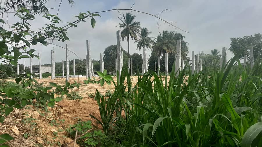 ಬಂಗಾರಪೇಟೆ ತಾಲ್ಲೂಕಿನ ಕೆಂದೋಳಮಂದೆ ಗ್ರಾಮದ ಕೋಟೆ ಗೋಡೆ ಮತ್ತು ಆಂಜನೇಯಸ್ವಾಮಿ ದೇವಾಲಯದ ಜಮೀನನ್ನು ಒತ್ತುವರಿ ಮಾಡಿಕೊಂಡು ಶೆಡ್ ನಿರ್ಮಿಸುತ್ತಿರುವುದು 