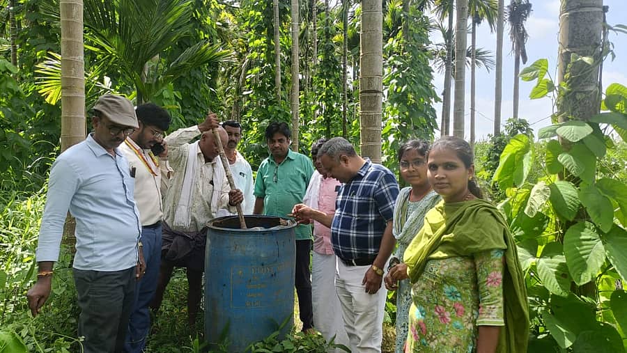 ದಾವಣಗೆರೆ ಜಿಲ್ಲೆಯ ಚನ್ನಗಿರಿ ತಾಲ್ಲೂಕಿನ ನೀತಿಗೆರೆ ಗ್ರಾಮದಲ್ಲಿ ಐಸಿಎಆರ್ ತರಳಬಾಳು ಕೃಷಿ ವಿಜ್ಞಾನ ಕೇಂದ್ರದ ತಜ್ಞರು ಜೀವಾಮೃತ ತಯಾರಿಕೆ ಮತ್ತು ಬಳಕೆ ವಿಧಾನದ ಬಗ್ಗೆ ಪ್ರಾತ್ಯಕ್ಷಿಕೆ ನೀಡಿದರು