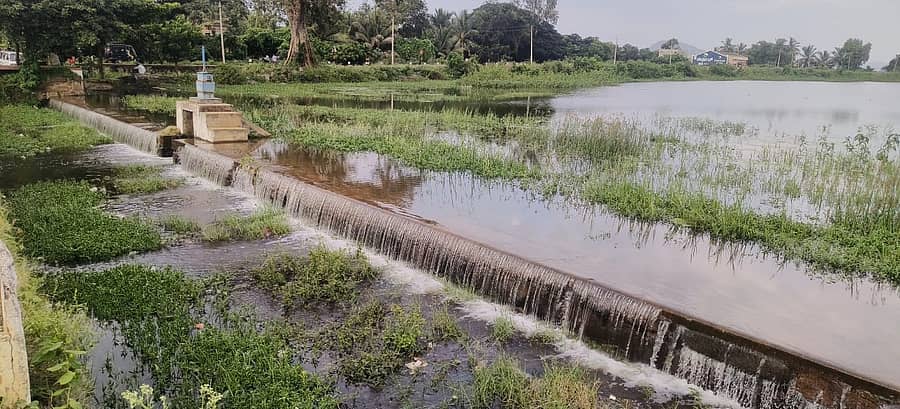 ಕೊಳ್ಳೇಗಾಲ ತಾಲ್ಲೂಕಿನ ಸಿದ್ದಯ್ಯನಪುರ ಗ್ರಾಮದ ದೊಡ್ಡ ರಂಗನಾಥನ ಕೆರೆ ಗುರುವಾರ ಕೋಡಿ ಬಿದ್ದಿದೆ