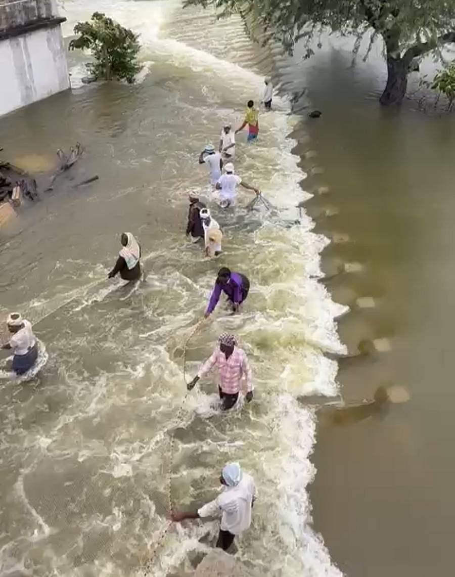 ಯರಗೋಳ ದೊಡ್ಡ ಕೆರೆಯು ತುಂಬಿ ಹರಿಯುತ್ತಿದ್ದು ಯುವಕರು ಮೀನು ಹಿಡಿಯುವುದರಲ್ಲಿ ತಲ್ಲಿನ ರಾಗಿರುವುದು.